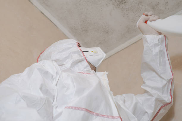 Best Office Mold Removal Services  in East Canton, OH